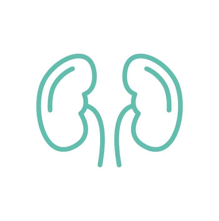 Endocrine and Diabetes