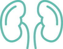 Endocrine and Diabetes